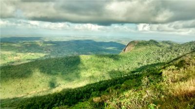 Vegetação e biodiversidade da Serra da Jiboia em Amargosa
