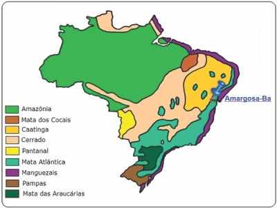 Área de transição entre Caatinga e Mata Atlântica na região de Amargosa